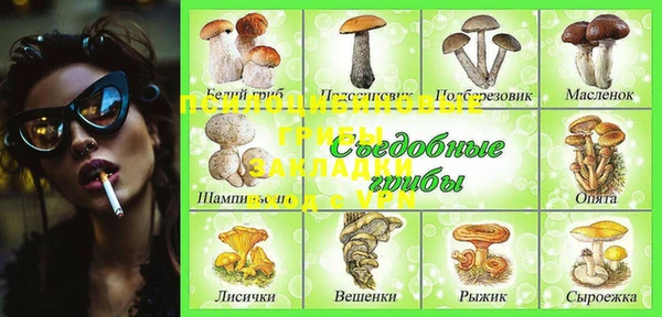 твердый Алзамай