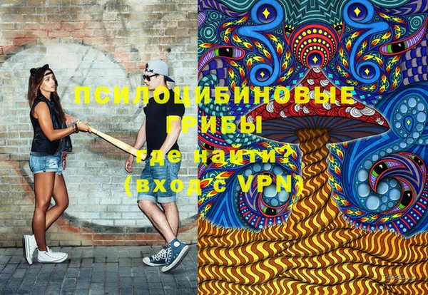 твердый Алзамай