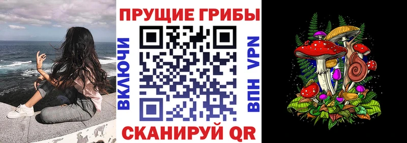 Псилоцибиновые грибы Cubensis  продажа наркотиков  Учалы 
