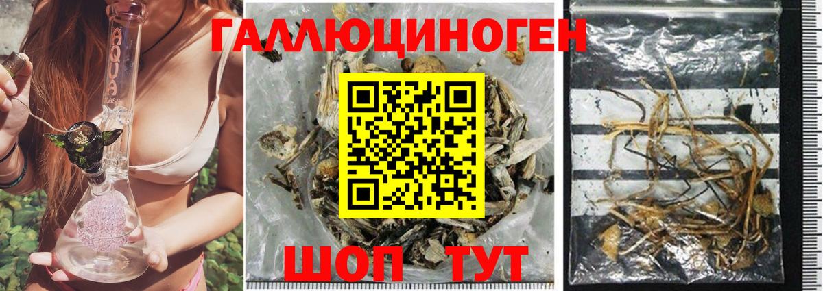 Учалы  Галлюциногенные грибы MAGIC MUSHROOMS  Вход с VPN 